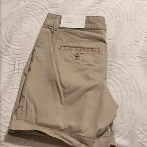 Ann Taylor Loft shorts